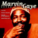 cd: Marvin Gaye: Super Hits