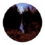 2xpicture disc: Opeth: My Arms, Your Hearse