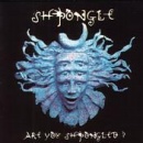 cd: Shpongle: Are you shpongled?