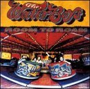 cd: Waterboys: Room to Roam 