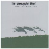 cd: Pineapple Thief: What We Have Sown