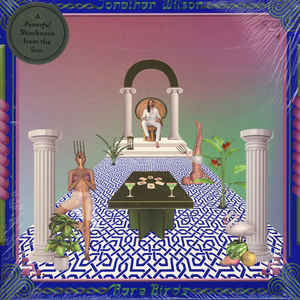 2lp gatefold: Jonathan Wilson: Rare Birds