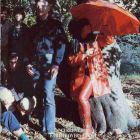 lp: Current 93: Earth covers Earth