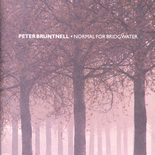 cd: Peter Bruntnell: Normal for Bridgewater