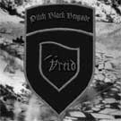 cd: Vreid: Pitch black brigade