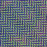  obestämt: Animal Collective: Merriweather Post Pavilion