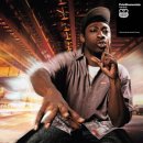 cd: Pete Rock: The Surviving Elements