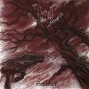 cd: Veil: Sombre