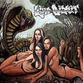 Limp Bizkit:Gold Cobra