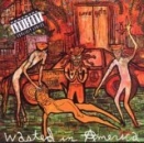 cd: Love/Hate: Wasted In America