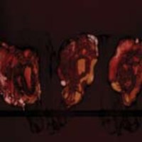 cd-ep: Deathspell omega: Kénôse