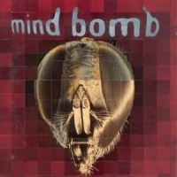cd: Mind Bomb: Mind Bomb