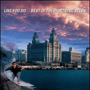 cd: Lightning Seeds: Like You DoÉ greatest hits