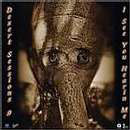 cd: Desert Sessions: Volume 9 & 10