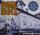 cd-singel: Mr. Big: Nothing But Love
