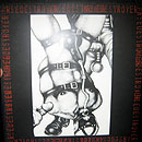 2lp gatefold: Arsedestroyer: XXX!Teenass Revolt!XXX