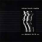 cd-maxi: Nine Inch Nails: Down In It