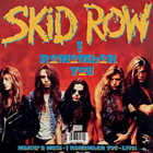 Skid Row:I Remember You
