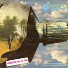 lp-gatefold: Squeezer: Joy Jell Fantasies