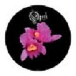 2xpicture disc: Opeth: Orchid