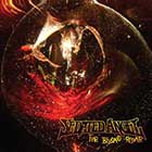 lp-gatefold: Sedated Angel: Far Beyond Repair