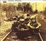 Animals:animal tracks