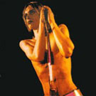 cd: The Stooges: Raw power