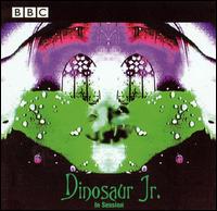 cd: Dinosaur Jr: In session
