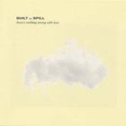 cd: Built to Spill: There's Nothing Wrong With Love
