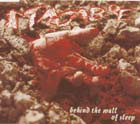 cd-singel: Macabre: Behind the Wall of Sleep