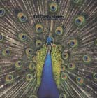 Bluetones:Expecting to Fly