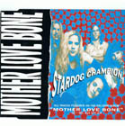 Mother Love Bone:Stardog Champion