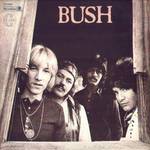 Bush:Bush