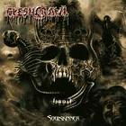 cd: Fleshcrawl: Soulskinner