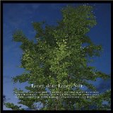 cd: Loney, Dear: Loney, Noir