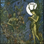cd pappersfodral: Forest: Forest