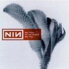 cd-maxi: Nine Inch Nails: The Day The World Went Away