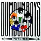 DumDum Boys:Pstereo