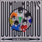 lp: DumDum Boys: Pstereo