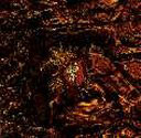 cd: Deus: Worst Case Scenaria