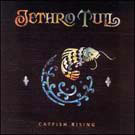 cd: Jethro Tull: Catfish rising
