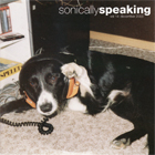 cd: VA: sonically speaking vol 14
